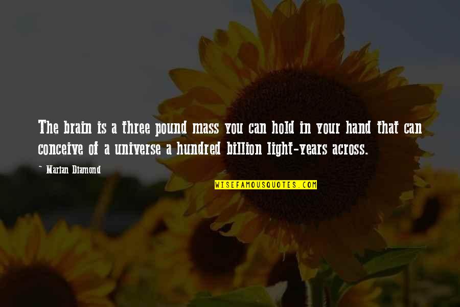 Hold In Your Hand Quotes By Marian Diamond: The brain is a three pound mass you