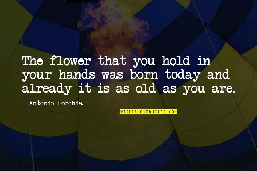 Hold It Quotes By Antonio Porchia: The flower that you hold in your hands