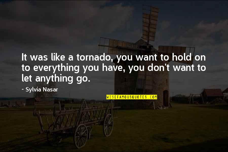 Hold On Quotes By Sylvia Nasar: It was like a tornado, you want to