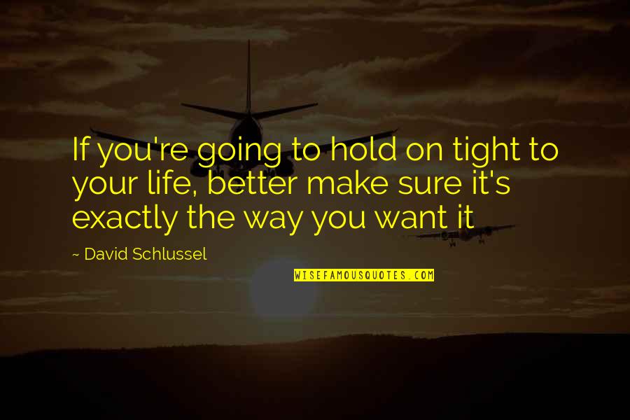 Hold On To Life Quotes By David Schlussel: If you're going to hold on tight to