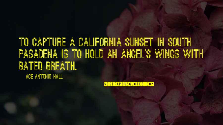Hold Quotes Quotes By Ace Antonio Hall: To capture a California sunset in South Pasadena