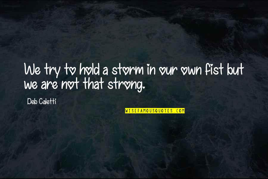 Hold Strong Quotes By Deb Caletti: We try to hold a storm in our