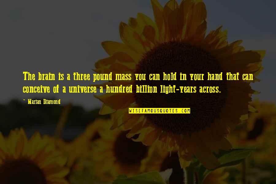 Hold The Hand Quotes By Marian Diamond: The brain is a three pound mass you