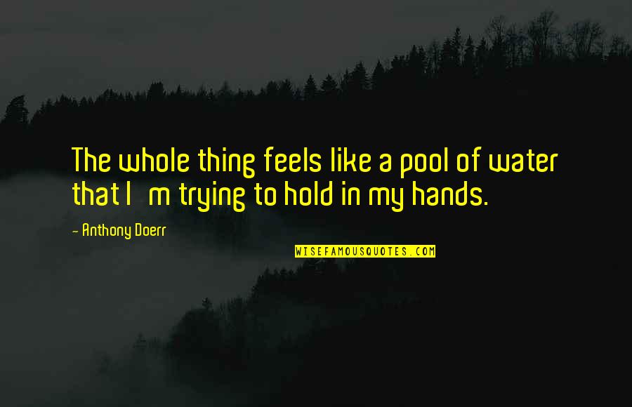 Hold The Hands Quotes By Anthony Doerr: The whole thing feels like a pool of