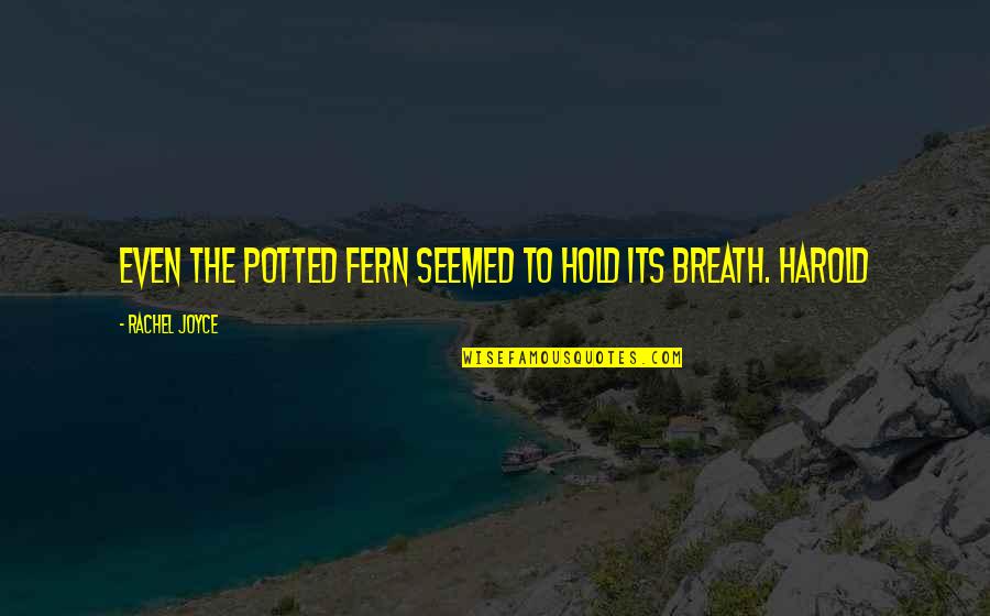 Hold Your Breath Quotes By Rachel Joyce: Even the potted fern seemed to hold its Hold Your Breath Quotes By Rachel Joyce: Even the potted fern seemed to hold its
