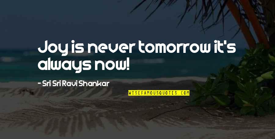 Holden Criticizing Quotes By Sri Sri Ravi Shankar: Joy is never tomorrow it's always now!