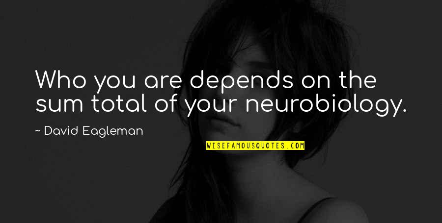 Holderlin Amazon Quotes By David Eagleman: Who you are depends on the sum total