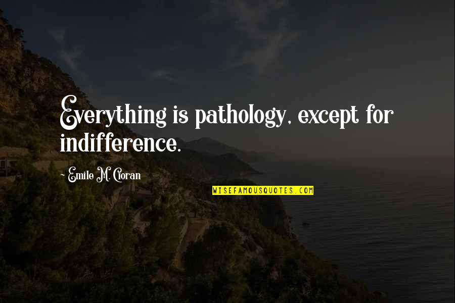 Holderman Family Quotes By Emile M. Cioran: Everything is pathology, except for indifference.