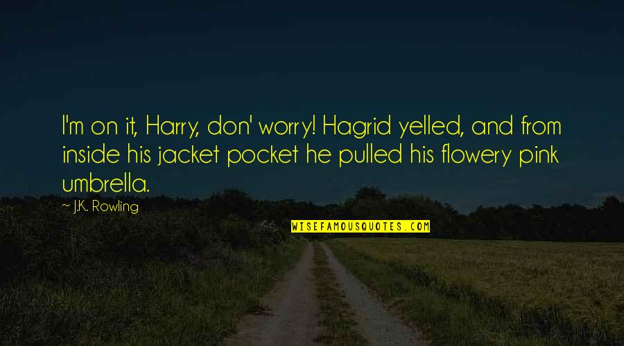 Holderread Duck Quotes By J.K. Rowling: I'm on it, Harry, don' worry! Hagrid yelled,