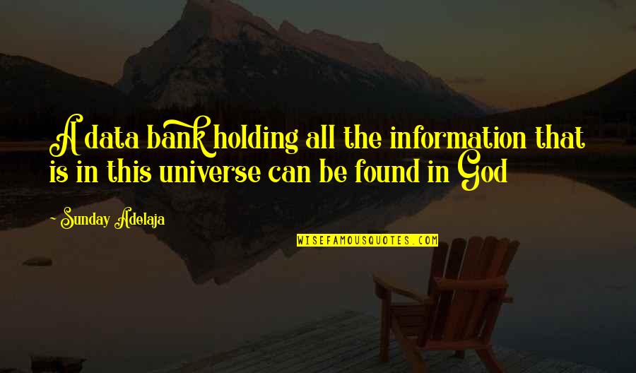 Holding On To Life Quotes By Sunday Adelaja: A data bank holding all the information that