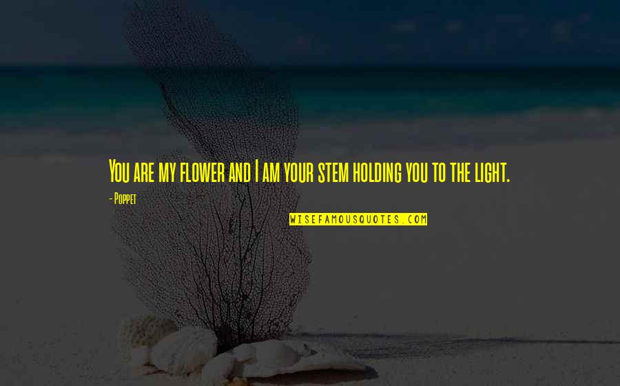Holding The Light Quotes By Poppet: You are my flower and I am your
