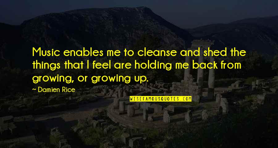 Holding Things In Quotes By Damien Rice: Music enables me to cleanse and shed the