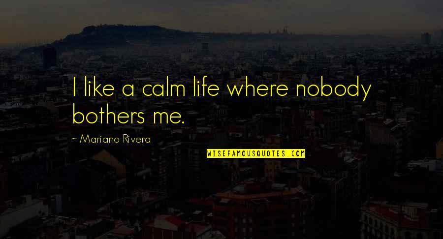 Holding Up The Wall Quotes By Mariano Rivera: I like a calm life where nobody bothers Holding Up The Wall Quotes By Mariano Rivera: I like a calm life where nobody bothers