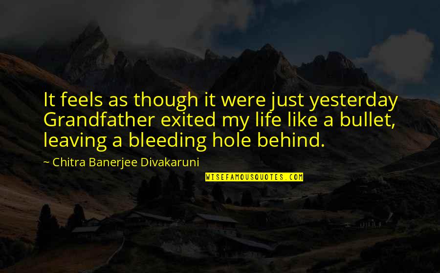 Hole In My Life Quotes By Chitra Banerjee Divakaruni: It feels as though it were just yesterday Hole In My Life Quotes By Chitra Banerjee Divakaruni: It feels as though it were just yesterday
