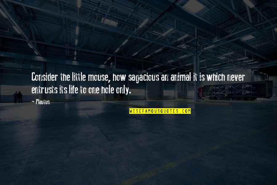 Hole In My Life Quotes By Plautus: Consider the little mouse, how sagacious an animal Hole In My Life Quotes By Plautus: Consider the little mouse, how sagacious an animal
