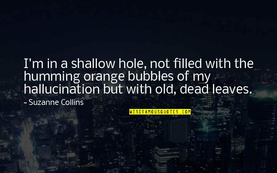 Hole Quotes By Suzanne Collins: I'm in a shallow hole, not filled with