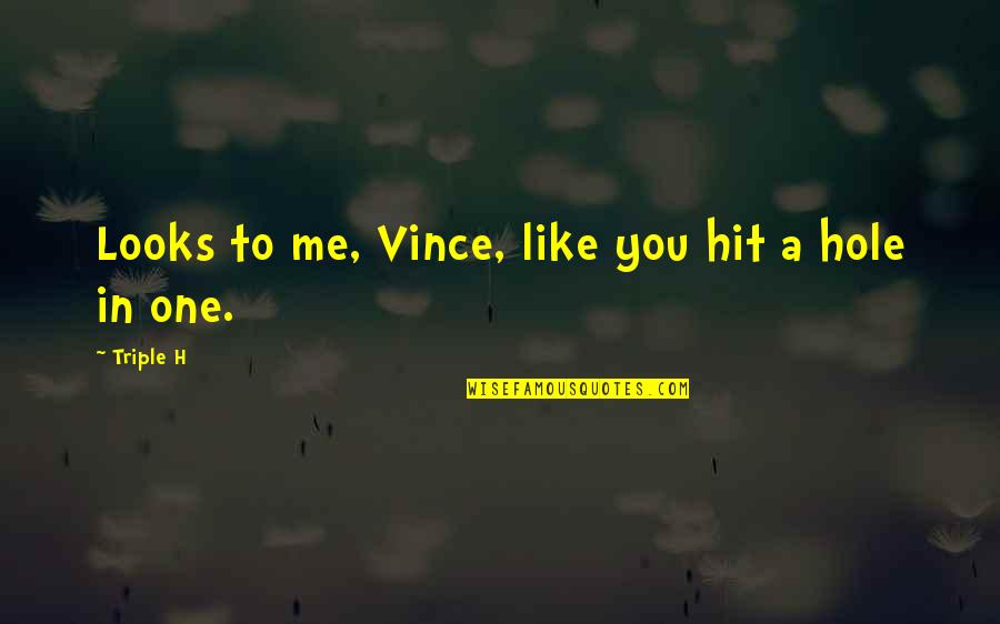 Hole Quotes By Triple H: Looks to me, Vince, like you hit a