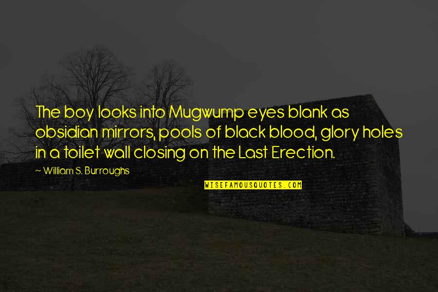Holes In The Wall Quotes By William S. Burroughs: The boy looks into Mugwump eyes blank as