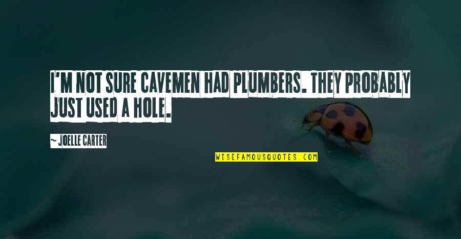 Holes Quotes By Joelle Carter: I'm not sure cavemen had plumbers. They probably