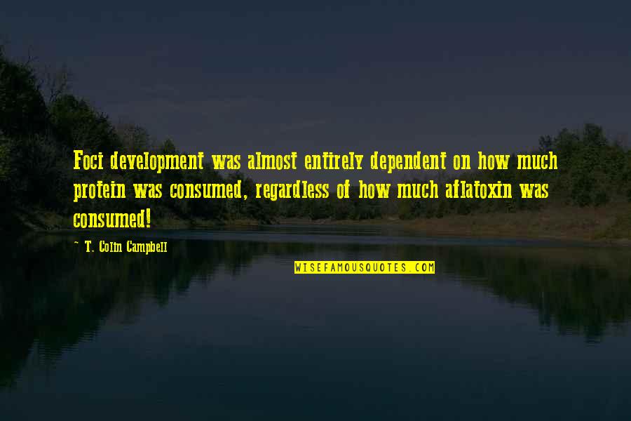Holewinski Class Quotes By T. Colin Campbell: Foci development was almost entirely dependent on how Holewinski Class Quotes By T. Colin Campbell: Foci development was almost entirely dependent on how