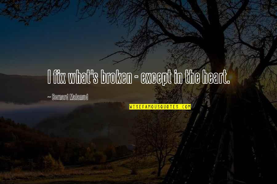 Holford Pool Quotes By Bernard Malamud: I fix what's broken - except in the Holford Pool Quotes By Bernard Malamud: I fix what's broken - except in the
