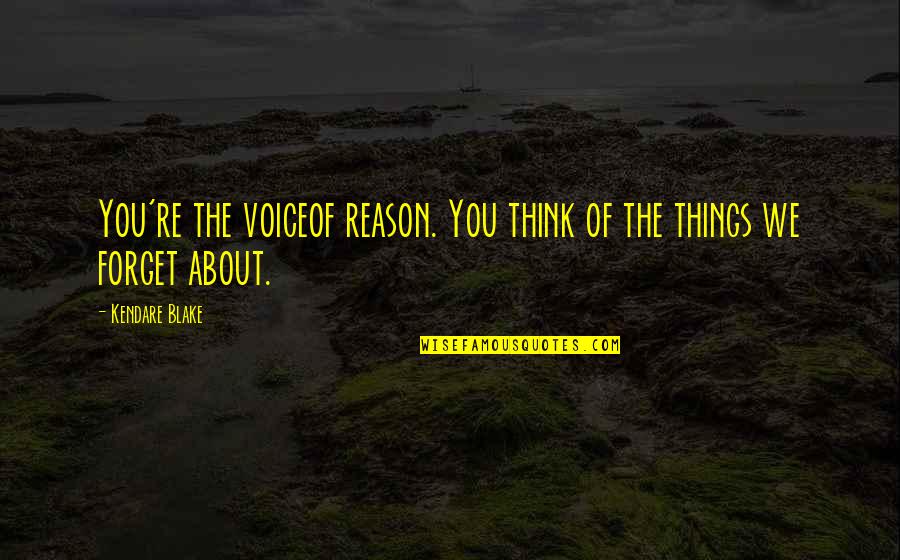 Holgar Quotes By Kendare Blake: You're the voiceof reason. You think of the