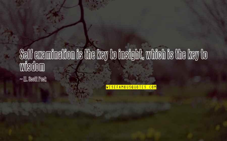 Holger Czukay Quotes By M. Scott Peck: Self examination is the key to insight, which