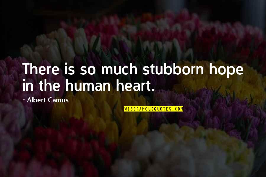 Holiberg Quotes By Albert Camus: There is so much stubborn hope in the