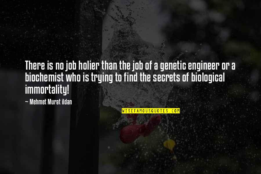 Holier Quotes By Mehmet Murat Ildan: There is no job holier than the job