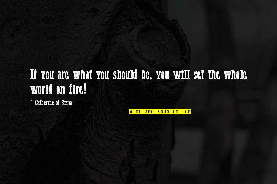 Holiness From Saints Quotes By Catherine Of Siena: If you are what you should be, you Holiness From Saints Quotes By Catherine Of Siena: If you are what you should be, you