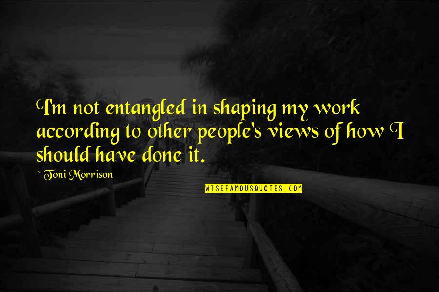 Holistic Nature Quotes By Toni Morrison: I'm not entangled in shaping my work according