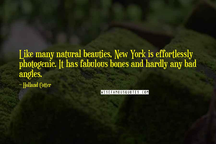 Holland Cotter quotes: Like many natural beauties, New York is effortlessly photogenic. It has fabulous bones and hardly any bad angles.