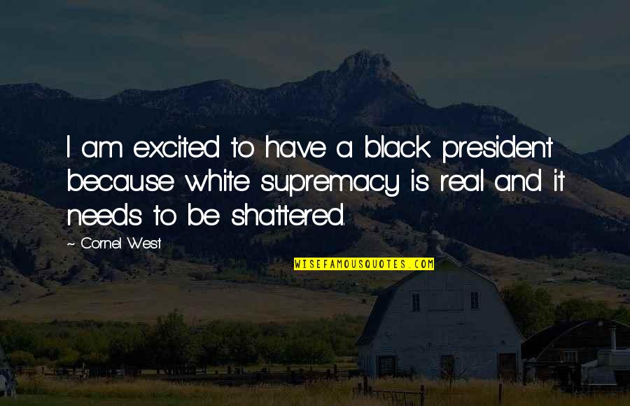 Holland Tulips Quotes By Cornel West: I am excited to have a black president