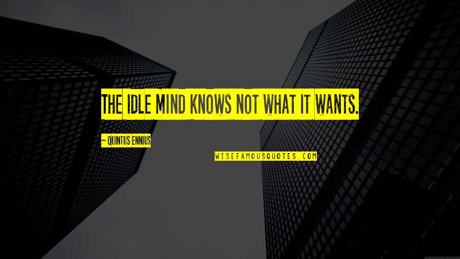 Hollowness Ratios Quotes By Quintus Ennius: The idle mind knows not what it wants. Hollowness Ratios Quotes By Quintus Ennius: The idle mind knows not what it wants.