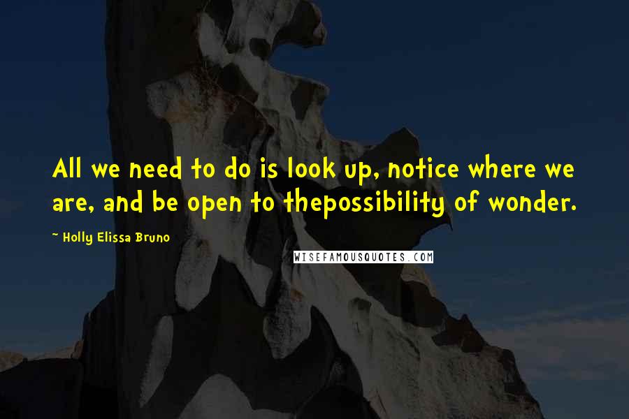 Holly Elissa Bruno quotes: All we need to do is look up, notice where we are, and be open to thepossibility of wonder.