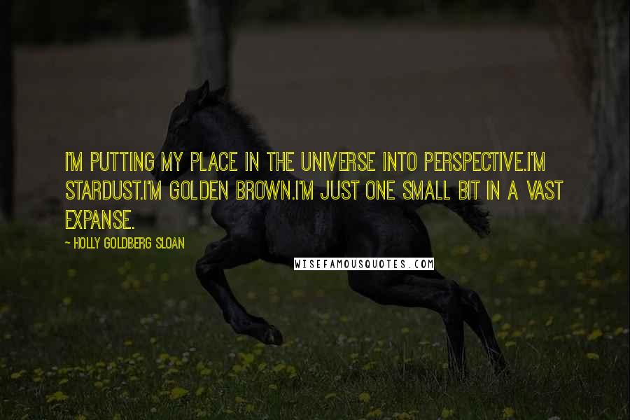 Holly Goldberg Sloan quotes: I'm putting my place in the universe into perspective.I'm stardust.I'm golden brown.I'm just one small bit in a vast expanse.