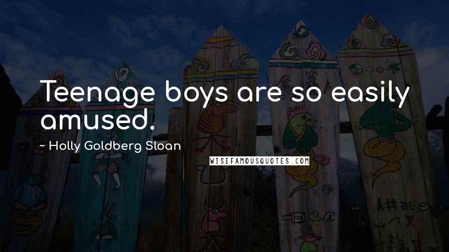 Holly Goldberg Sloan quotes: Teenage boys are so easily amused.