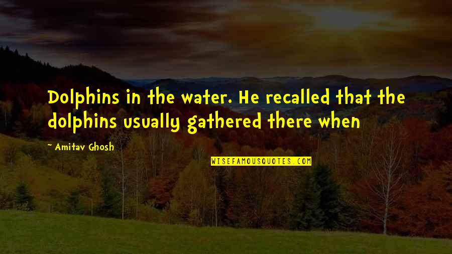 Hollywood And Real Life Quotes By Amitav Ghosh: Dolphins in the water. He recalled that the