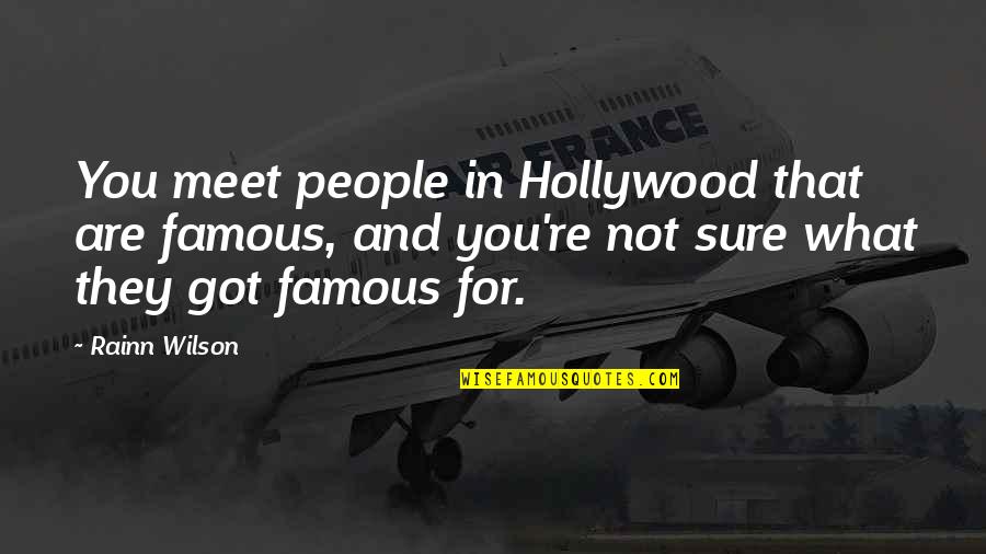 Hollywood Famous Quotes By Rainn Wilson: You meet people in Hollywood that are famous,