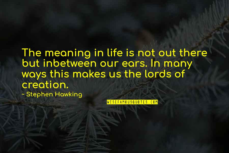Holocaust Never Again Quotes By Stephen Hawking: The meaning in life is not out there