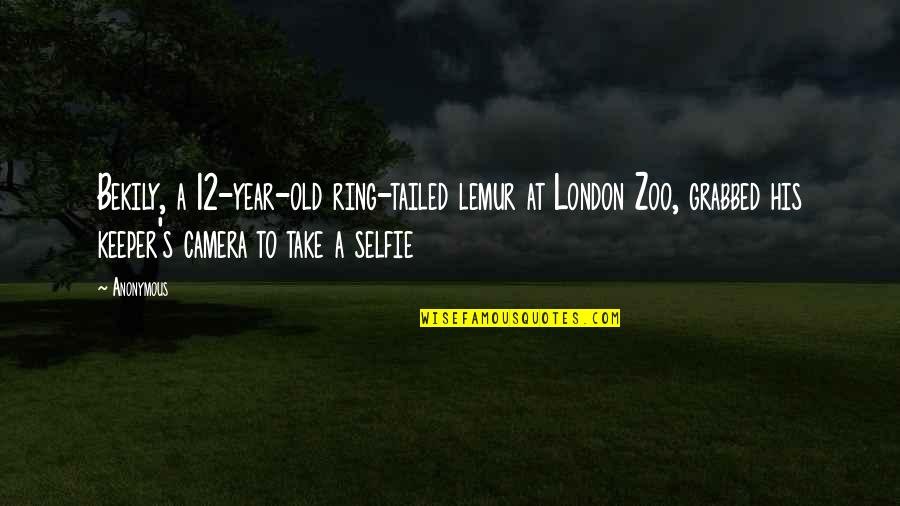 Holonet Frame Quotes By Anonymous: Bekily, a 12-year-old ring-tailed lemur at London Zoo,