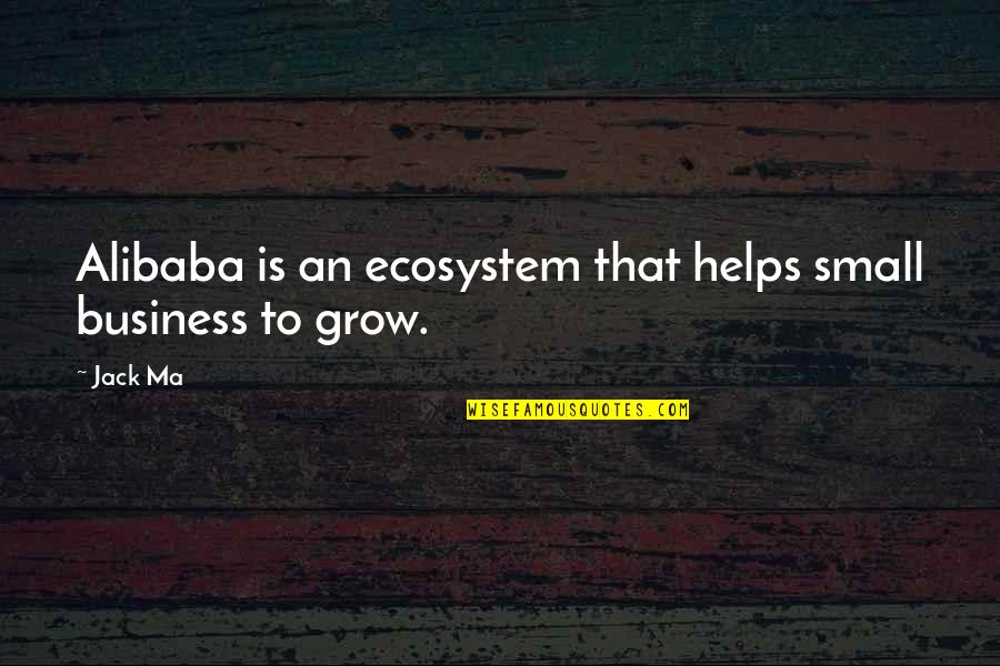 Holowko Jacewicz Quotes By Jack Ma: Alibaba is an ecosystem that helps small business