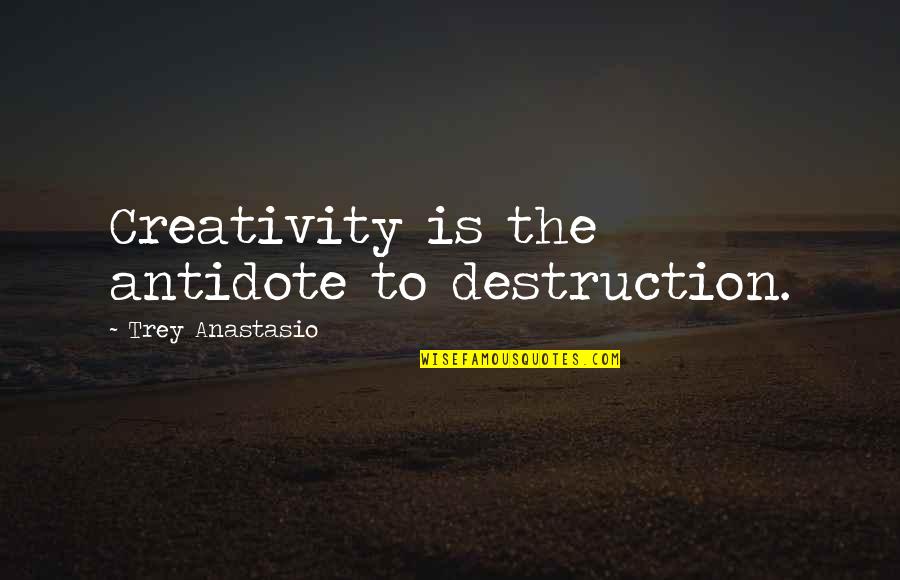 Holsters For Sig Quotes By Trey Anastasio: Creativity is the antidote to destruction.