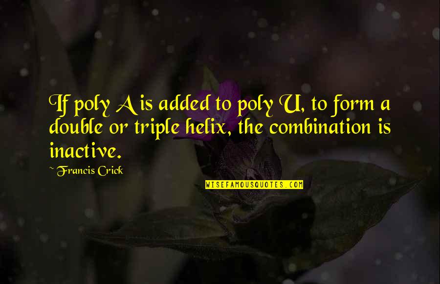 Holvey Genealogy Quotes By Francis Crick: If poly A is added to poly U,