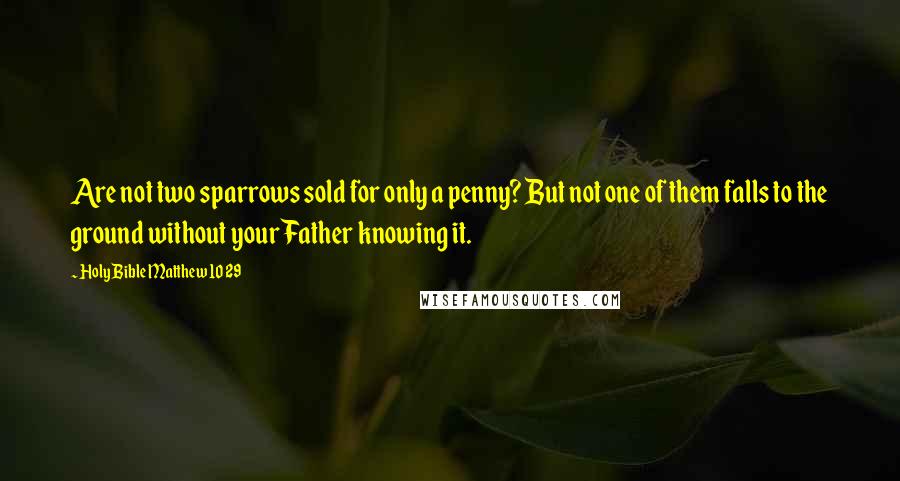 Holy Bible Matthew 10 29 quotes: Are not two sparrows sold for only a penny? But not one of them falls to the ground without your Father knowing it.