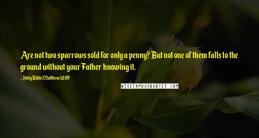 Holy Bible Matthew 10 29 quotes: Are not two sparrows sold for only a penny? But not one of them falls to the ground without your Father knowing it. Holy Bible Matthew 10 29 quotes: Are not two sparrows sold for only a penny? But not one of them falls to the ground without your Father knowing it.
