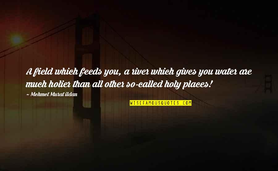 Holy Quotes And Quotes By Mehmet Murat Ildan: A field which feeds you, a river which