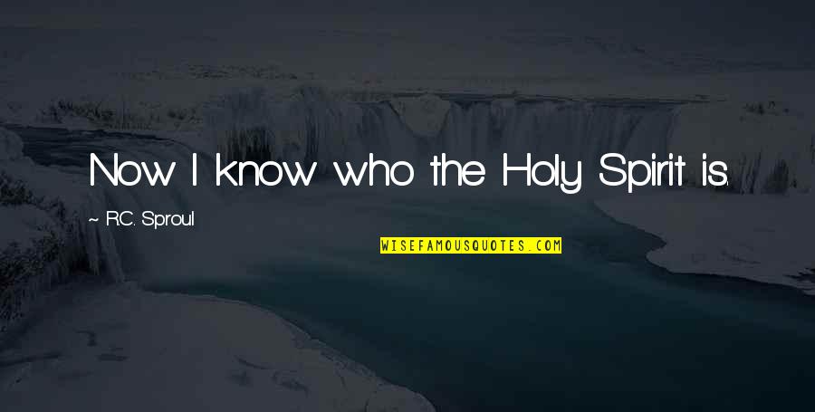 Holy Quotes By R.C. Sproul: Now I know who the Holy Spirit is.