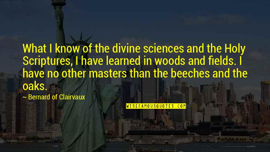 Holy Scriptures Quotes By Bernard Of Clairvaux: What I know of the divine sciences and