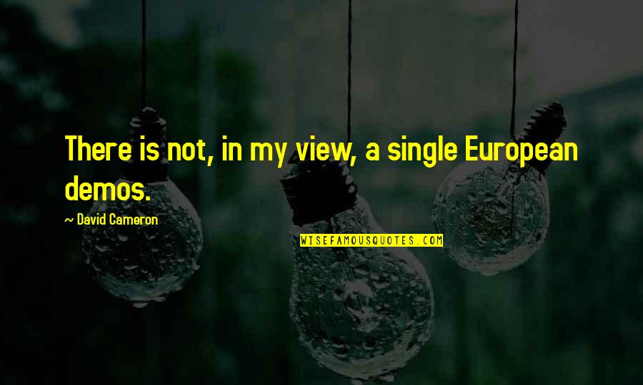 Holzum Properties Quotes By David Cameron: There is not, in my view, a single Holzum Properties Quotes By David Cameron: There is not, in my view, a single